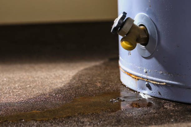 Best Water damage restoration near me  in Dublin, OH