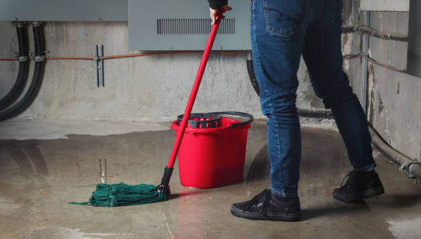 Best Water damage cleanup near me  in Dublin, OH