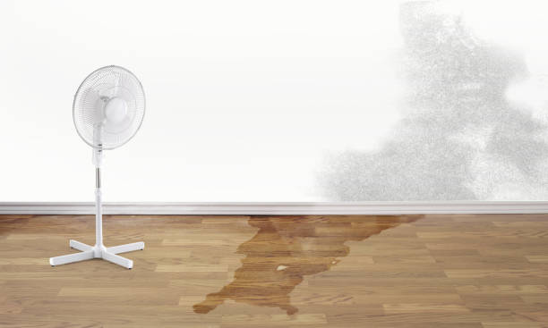 Best Flooded house restoration  in Dublin, OH