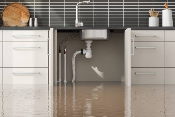 Best Sewage cleanup and water damage restoration  in Dublin, OH