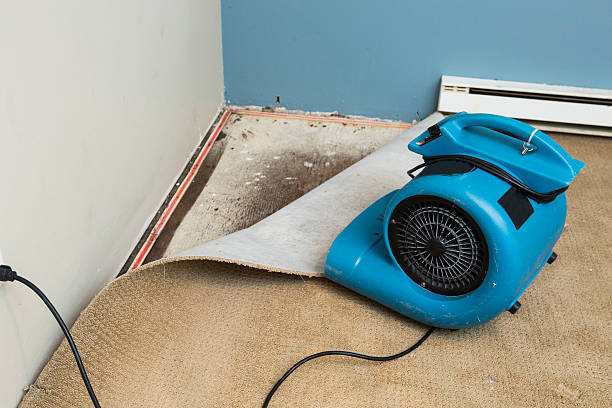 Best Carpet water damage restoration  in Dublin, OH